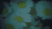 Turn Around Love GIF by Nina Nesbitt