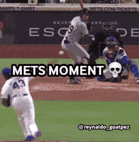 New York Mets Baseball GIF