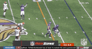 Minnesota Vikings Football GIF by NFL