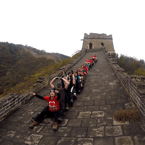 bhfsocialmedia GIF by British Heart Foundation