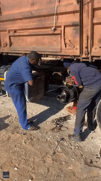 Cheeky Elephants Steal Oranges From Broken-Down Truck
