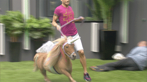 bbuk giphyupload big brother reality tv cbb GIF