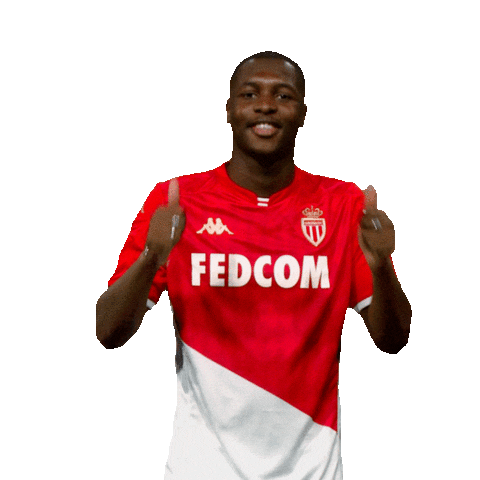 Ligue 1 Football Sticker by AS Monaco