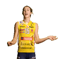 Heart Pantere Sticker by ImocoVolley
