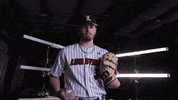 University Of Louisville Baseball GIF by Louisville Cardinals