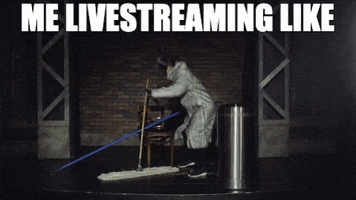 sciencewithsophie live streaming raccoon livestream GIF