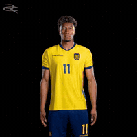 Fifa World Cup Ecuador GIF by Respective