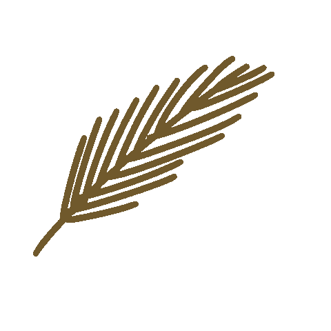 elimartinez-studio giphyupload nature tropical palm Sticker