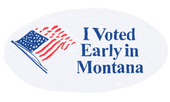 Voting Election 2020 Sticker by Joe Biden
