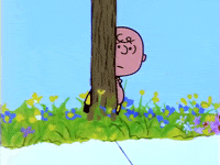 charlie brown GIF by Peanuts