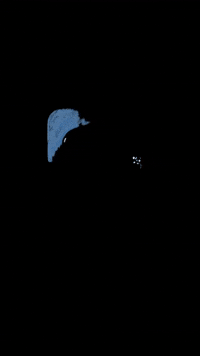 Animation GIF by Mr Kaplin