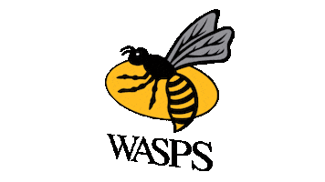 Rugby Netball Sticker by Wasps