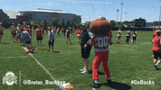 Ohio State Sport GIF by Ohio State Athletics