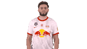 Esports Controller Sticker by FC Red Bull Salzburg