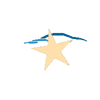 More Than A Rent Sticker by V Star Rent A Car