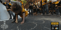 ice hockey sport GIF by NHL