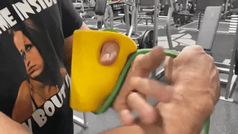 GRIPZILLA giphyupload GIF