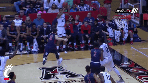 celebrate cincinnati bearcats GIF by University of Cincinnati Athletics
