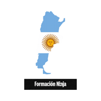 Flag Argentina Sticker by Formación Ninja