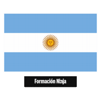 Flag Pixel Art Sticker by Formación Ninja