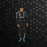 T-Pose Formula One GIF by Mercedes-AMG Petronas Formula One Team