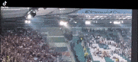 Rapid Wien Austria GIF