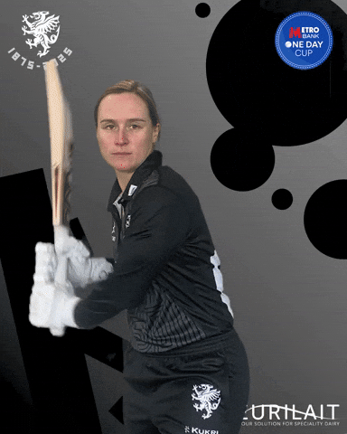 Shot Pull GIF by Somerset County Cricket Club