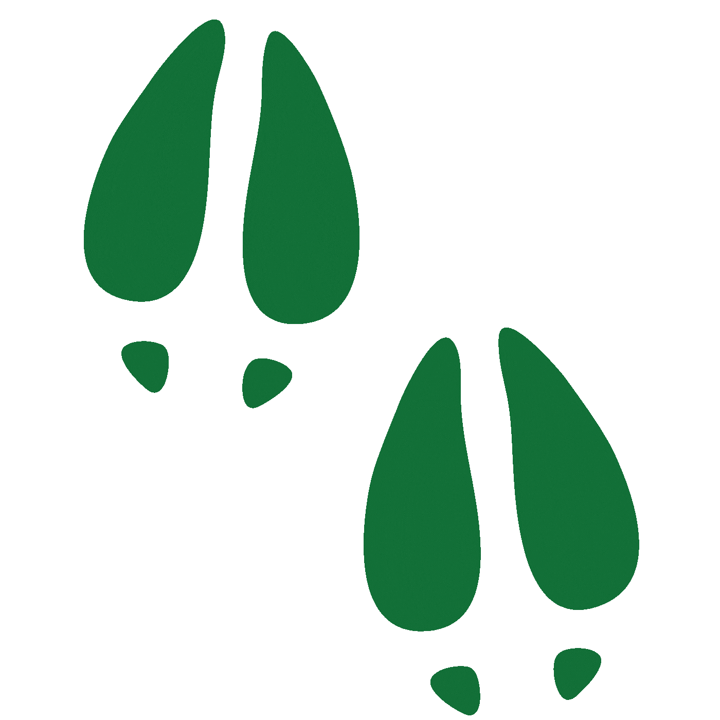 Tule Elk Ocean Sticker by Resource Renewal Institute