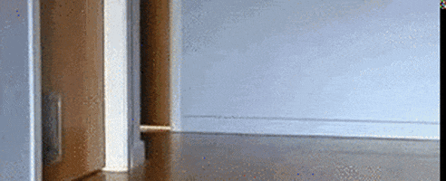 video games cat GIF