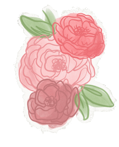 rose_doodles giphyupload rose doodle roses Sticker