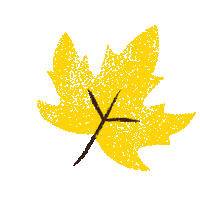 Fall Love Sticker by Digital Pratik
