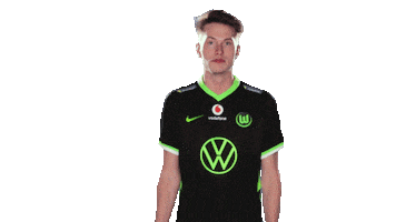 E Sports Sport Sticker by VfL Wolfsburg