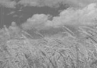 GIF by hoppip