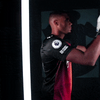 Premier League Football GIF by Southampton FC