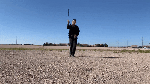 valentestyle giphyupload mma speed martialarts GIF