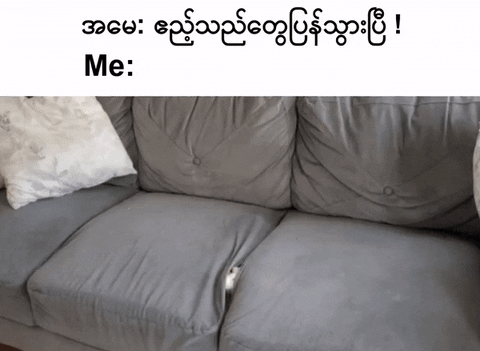 moethantkyaw giphyupload GIF