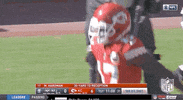 National Football League GIF by NFL