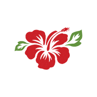 itstheislandlife guam rota hibiscus island life Sticker