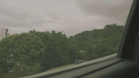 Clem2022film giphyupload GIF
