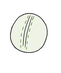 Cricket Ipl Sticker
