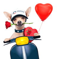 Sticker by MOOVIN