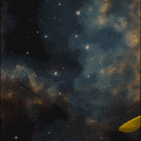Confused Ich GIF