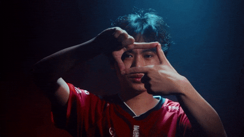 China Esports GIF by BLAST