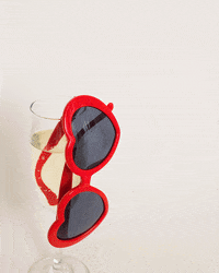 linneabullion cheers sunglasses champagne hooray GIF