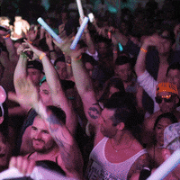 GIF by Big Beat Records