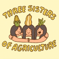 Three Sisters of Agriculture