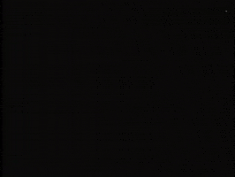 scottok dont be afraid filmstrip GIF