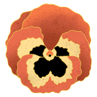 daturastore datura Sticker