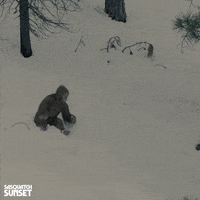 Jesse Eisenberg Bigfoot GIF by Bleecker Street