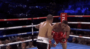 toprank fight boxing fighting espn GIF